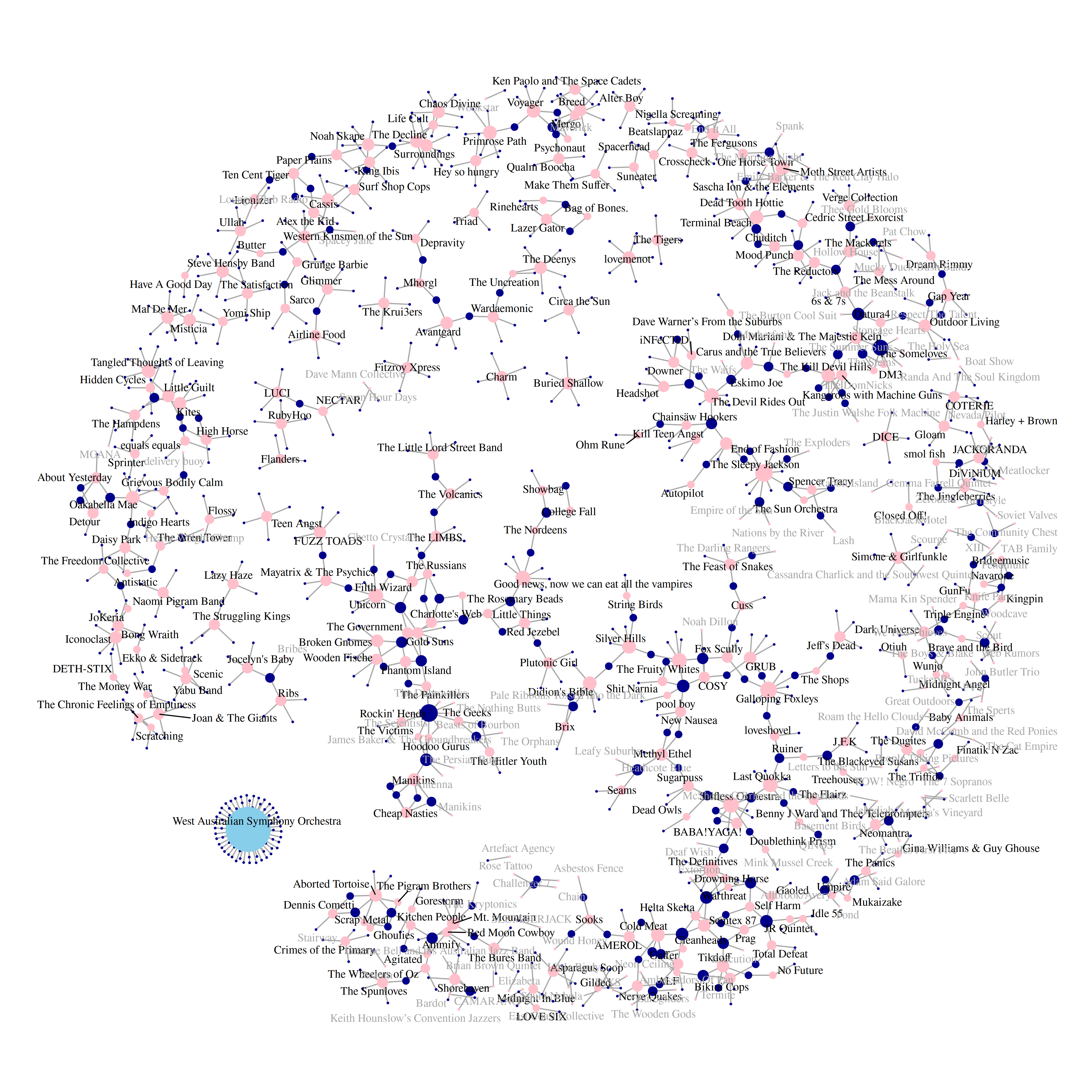 20250602_WA_bands_network_graph.png
